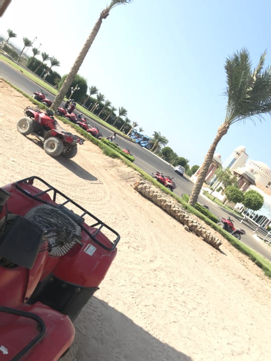 Sport & Freizeit Serenity Alpha Beach