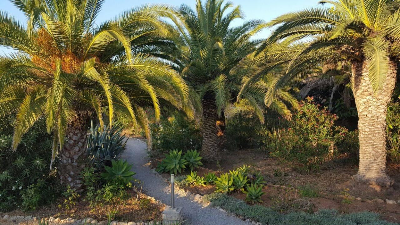 Garten Finca Hotel Predio Son Serra