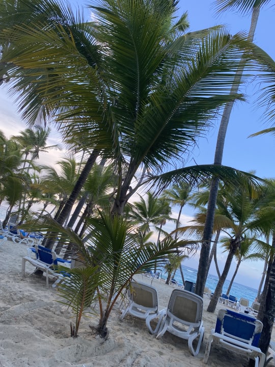 Strand Hotel Riu Bambu