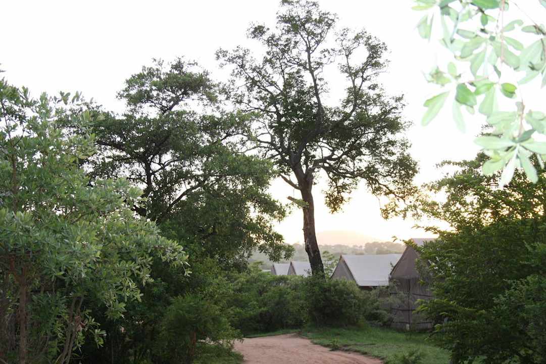 Morgenstimmung Nkambeni Tented Lodge