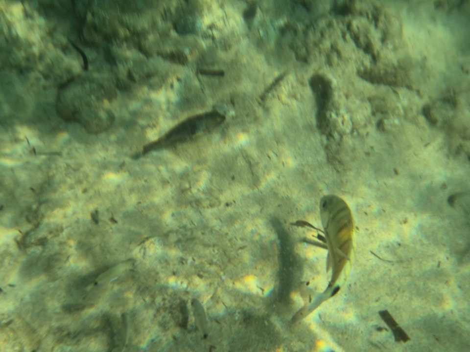 Strand VONRESORT Golden Coast