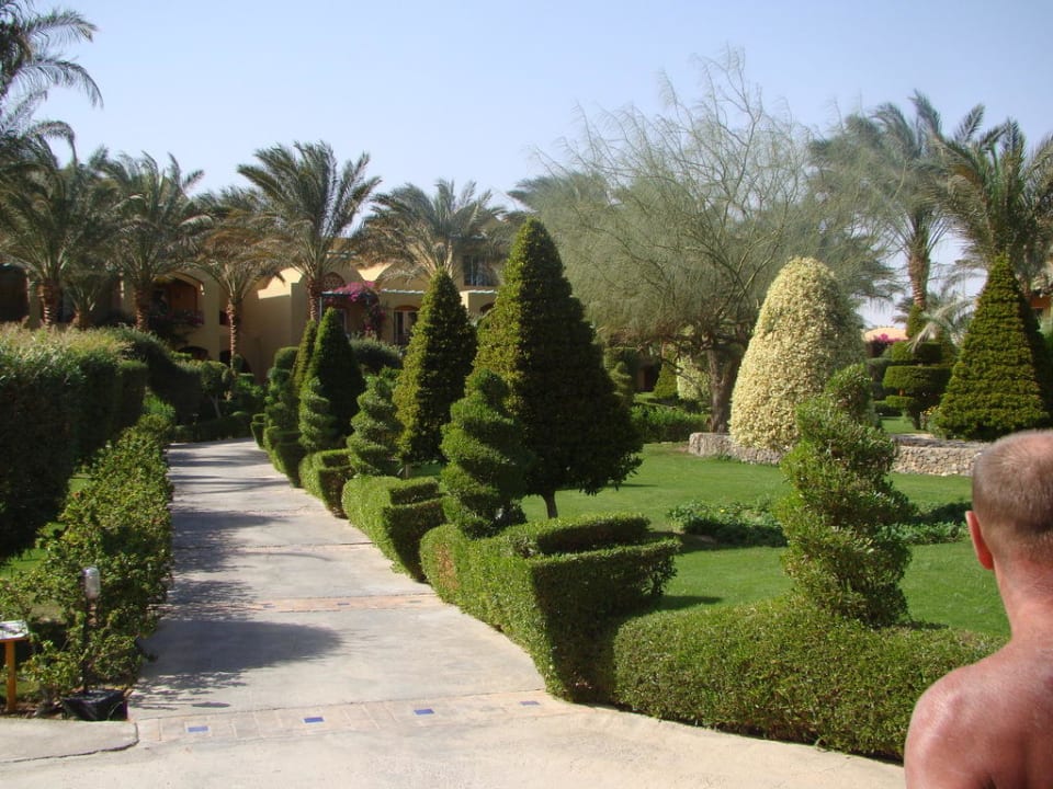 Gartenanlage Jaz Makadi Gardens - TUI BLUE Makadi Gardens - Adults Friendly 16 Years Plus