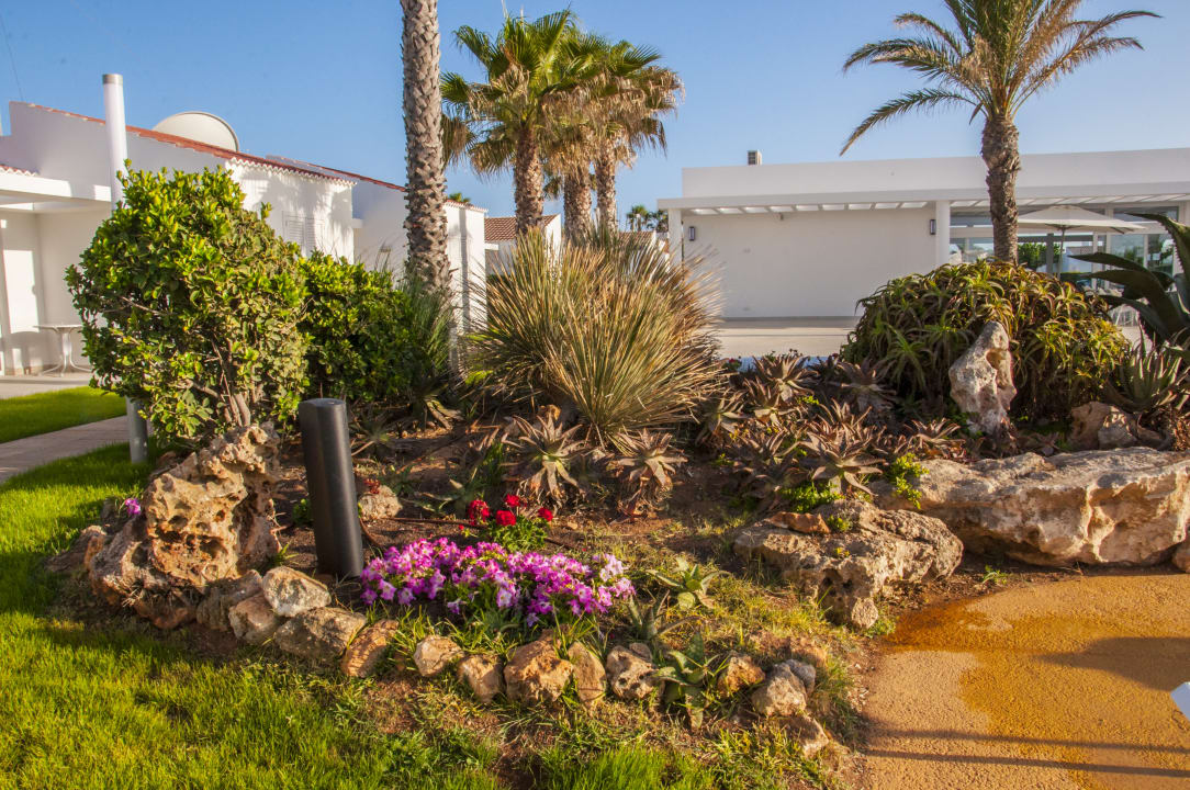 Gartenanlage Sagitario Menorca Mar