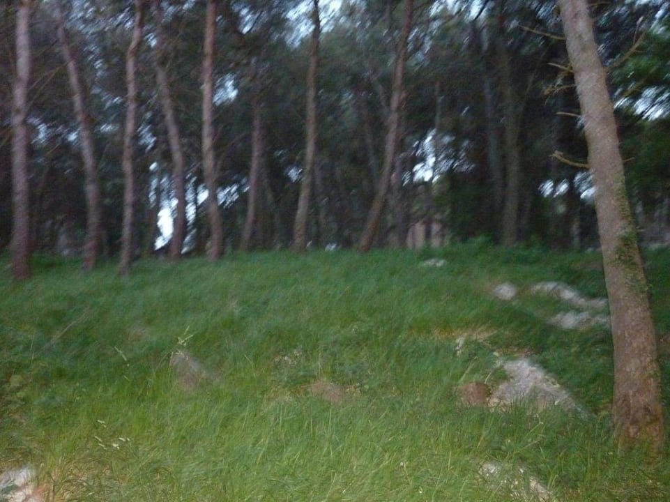 Anlage im Wald Apartments Kanegra Plava Laguna