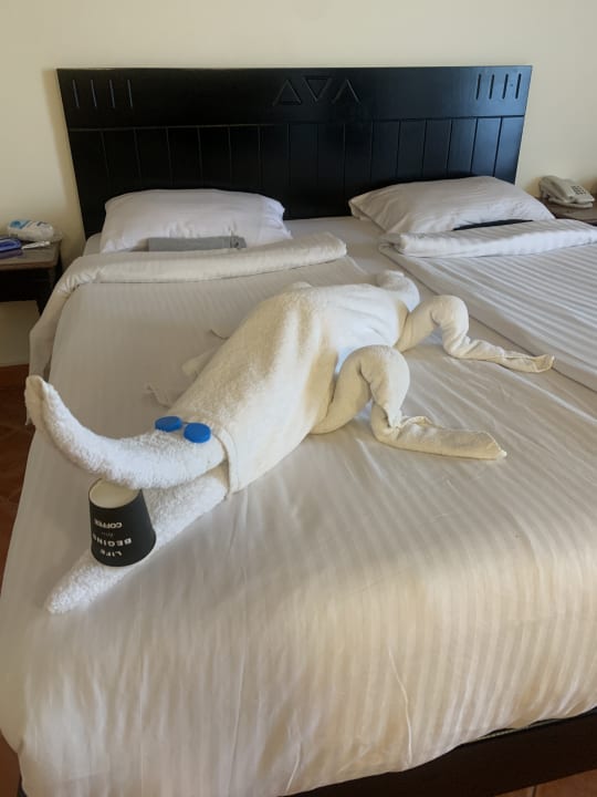 Zimmer Three Corners Sea Beach Resort