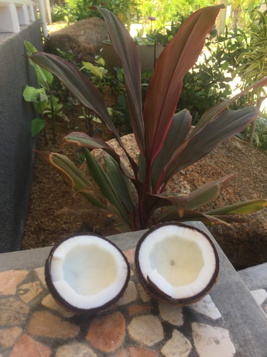 Sonstiges Guesthouse Cabanes des Anges