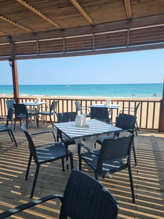 Gastro Seashell Vega