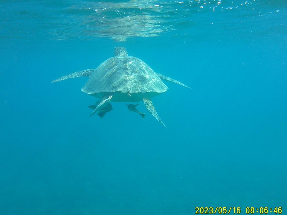 Sport & Freizeit Shams Prestige Abu Soma-Adults Only