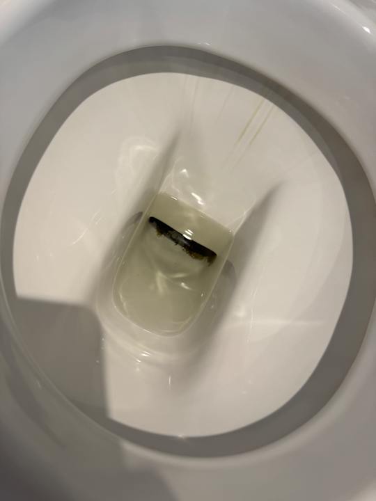 Zimmer Park Inn by Radisson Berlin Alexanderplatz