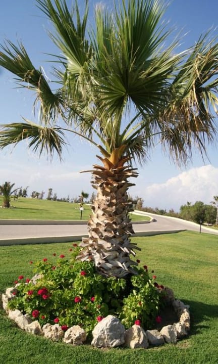 Gartenanlage Hotel Kalithea Horizon Royal