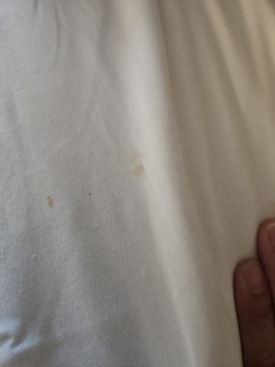 Zimmer Belek Beach Resort Hotel