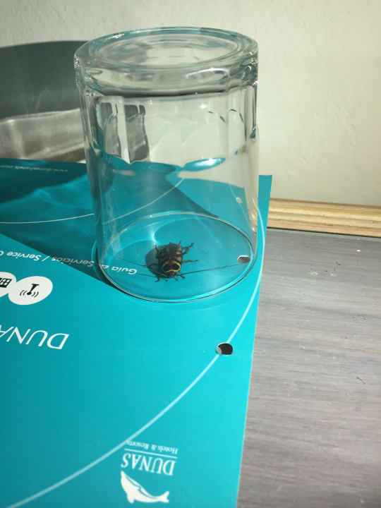 Zimmer Suites & Villas by Dunas