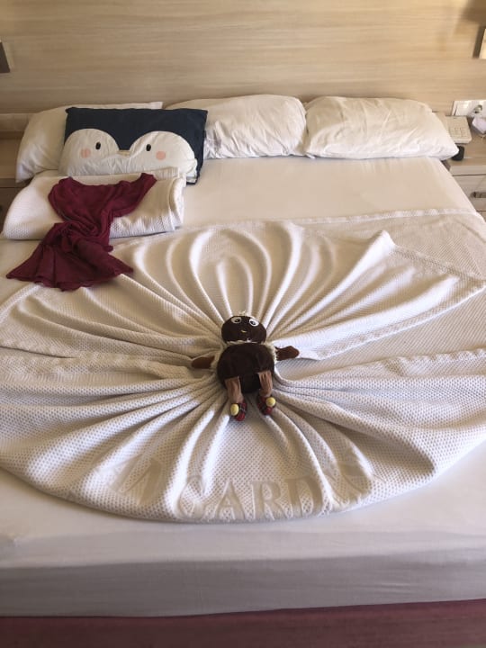 Zimmer Can Garden Beach