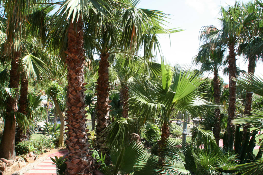 Die Oase mit 4 versteckten Pools Royal Hideaway Sancti Petri