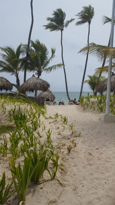 Strand Grand Palladium Punta Cana Resort & Spa