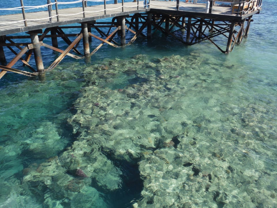 . Fantazia Resort Marsa Alam