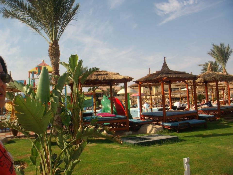 Eine Ruheoase Pickalbatros Dana Beach Resort - Hurghada