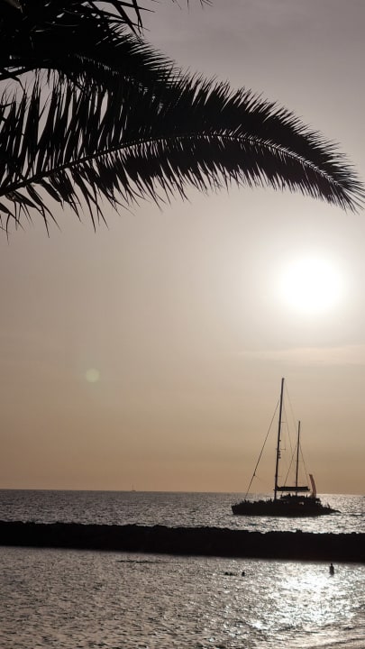 Ausblick Hotel Riu Palace Tenerife