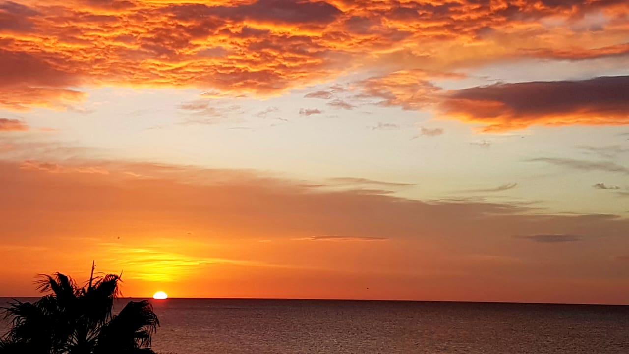 Ausblick The Orangers Beach Resort and Bungalows