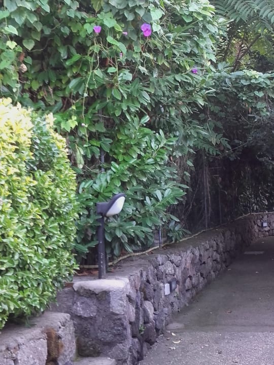 Gartenanlage Hotel L'Oasi Parco Castiglione