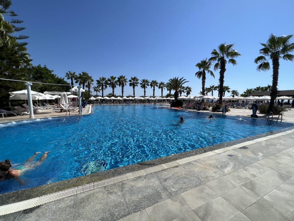 Pool Hotel Botanik Platinum