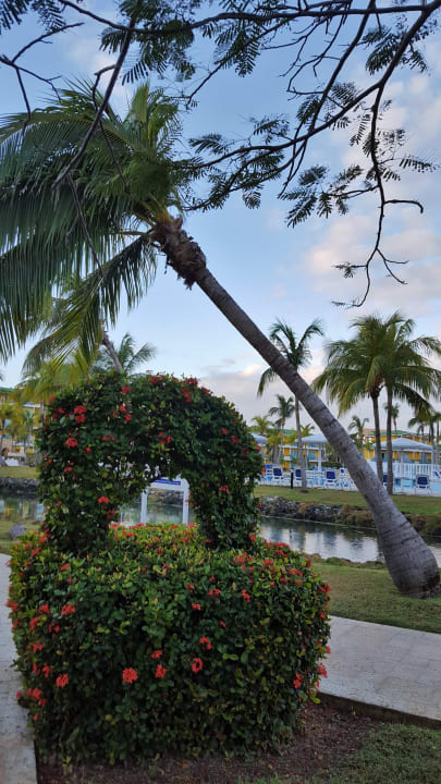 Gartenanlage Melia Las Antillas - Adults only