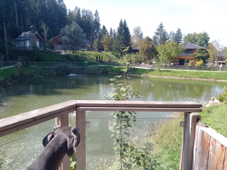 Gartenanlage Bayern Chalets