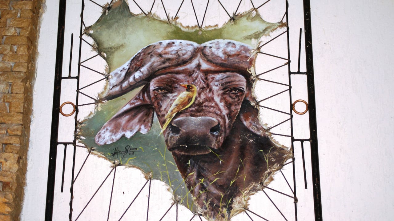 Die Big Five Ashnil Aruba Lodge