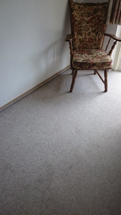 Teppichboden mit Flecken Hotel Schiffmeister