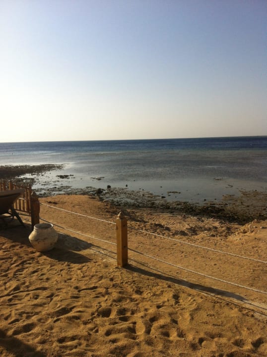 Blick von meiner Liege Makadi Spa - Adults only