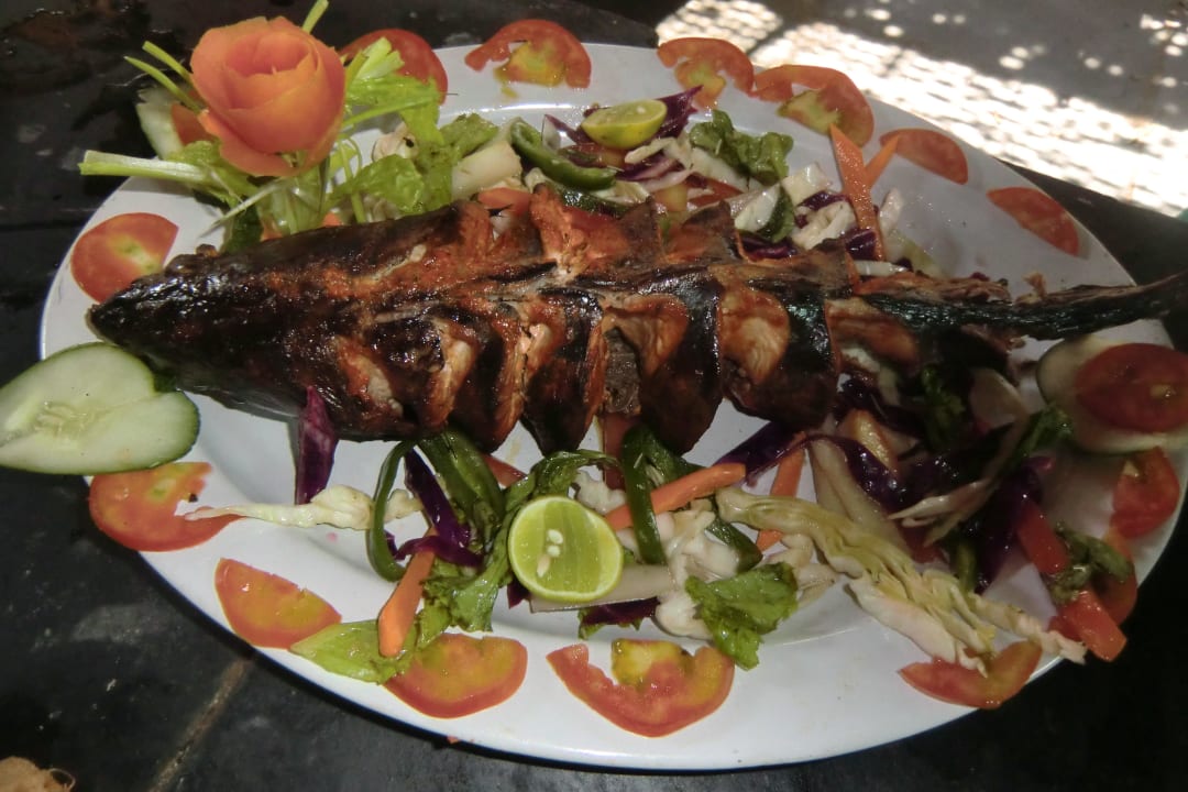 Fisch DucknChill Agonda Beach Huts