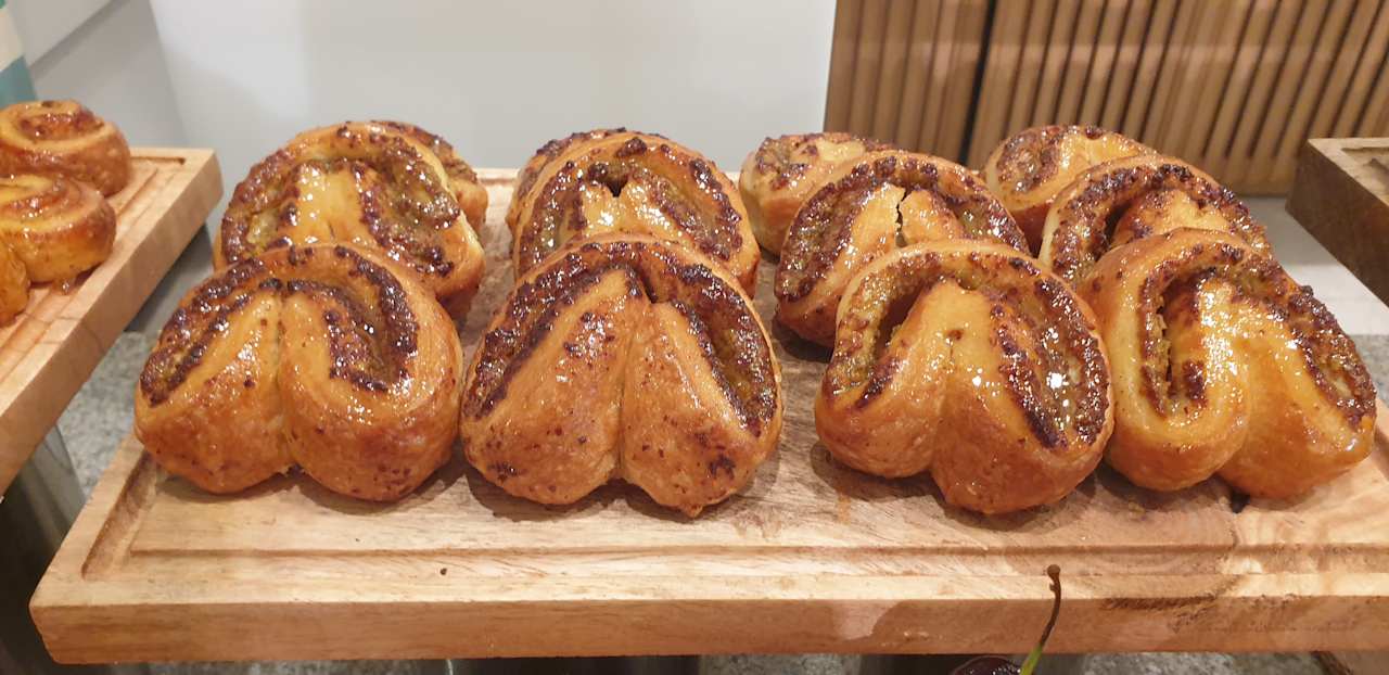 Gastro JAZ Elite Asteria