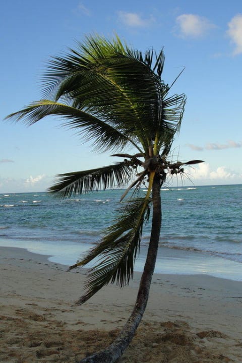 Strand Grand Sirenis Punta Cana Resort & Aquagames