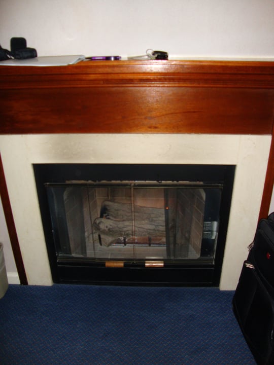 Gas-Kamin Hotel Yosemite View Lodge