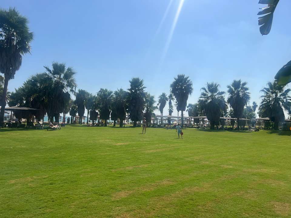Strand ROBINSON NOBILIS
