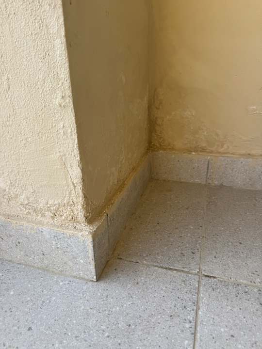 Zimmer JAZ Elite Riviera