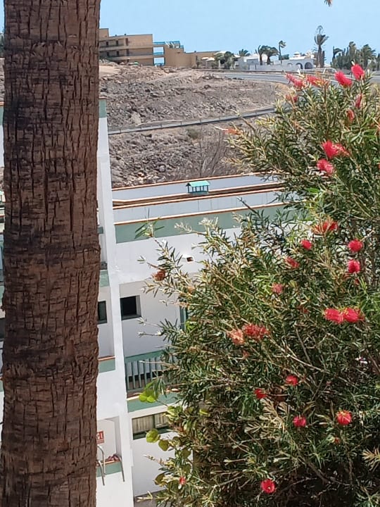Ausblick Aparthotel Esquinzo Y Monte Del Mar