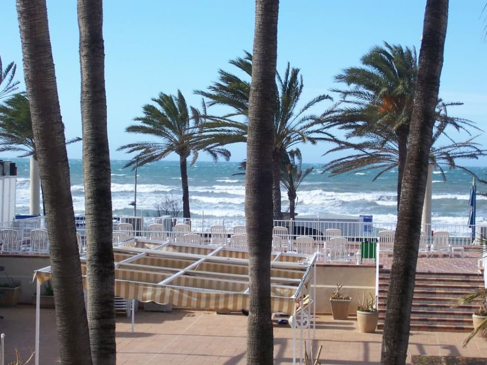 Palmen im Sturm Hotel Riu San Francisco - Adults only