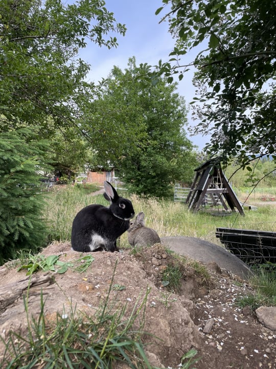 Gartenanlage S'Fleckli Bioland Ferienbauernhof
