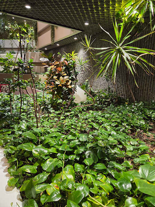 Gartenanlage Parkhotel Cup Vitalis