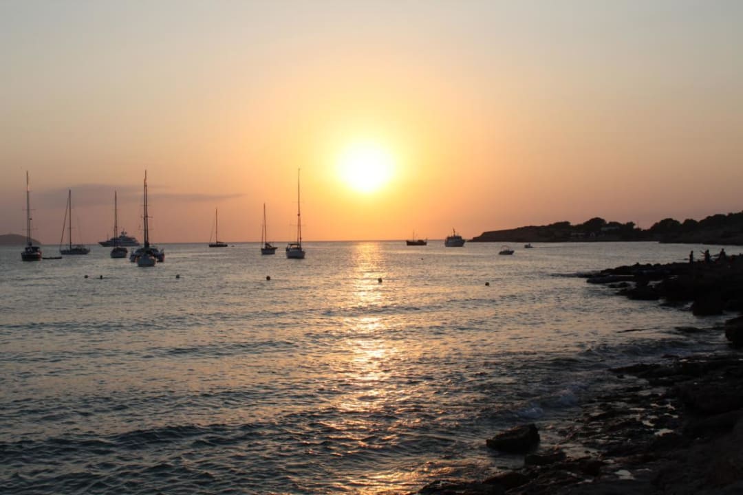 Blick vom Strand vorm Hotel Hotel-Apartamentos Blau Parc