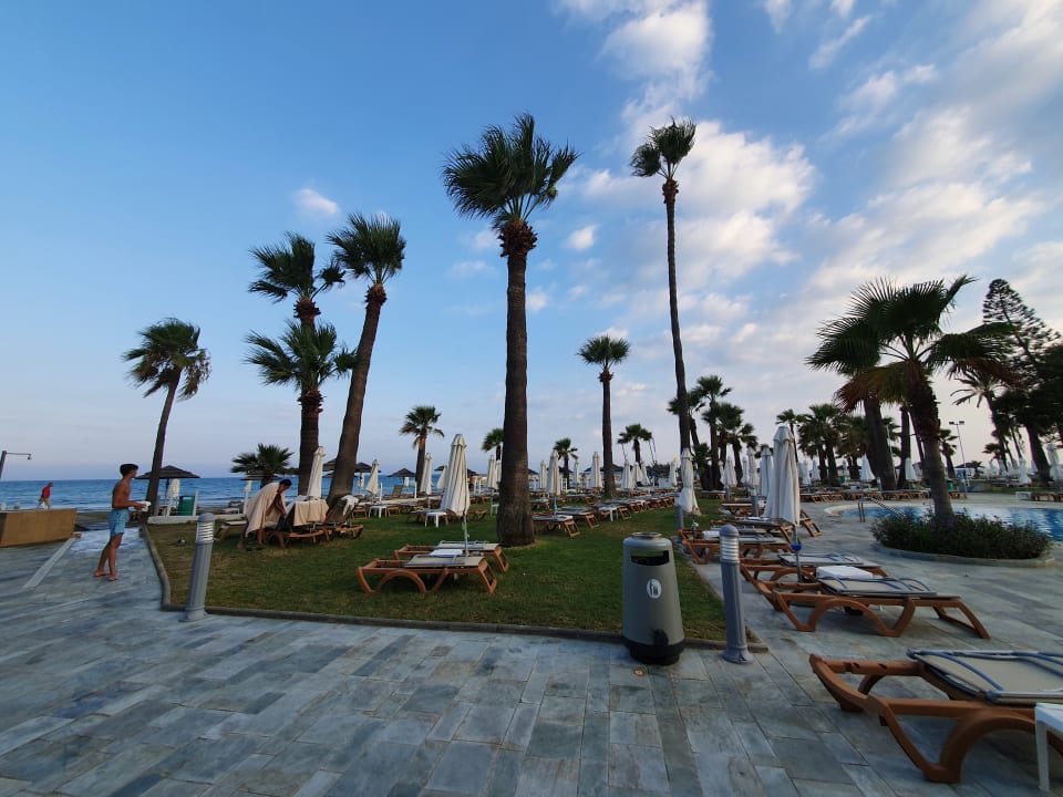 Gartenanlage The Golden Bay Beach Hotel