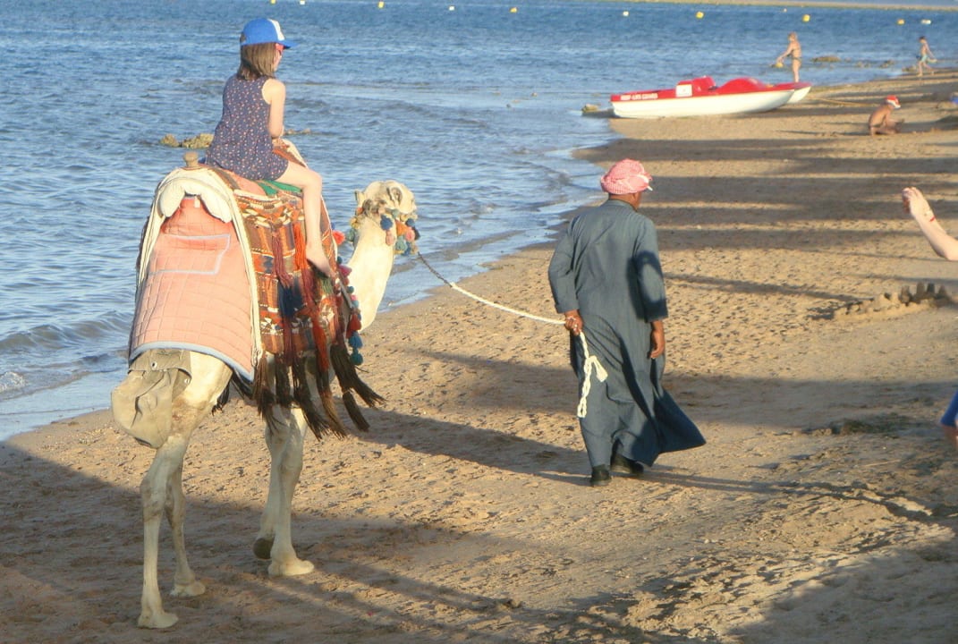Kamelritt Jaz Makadi Oasis Resort
