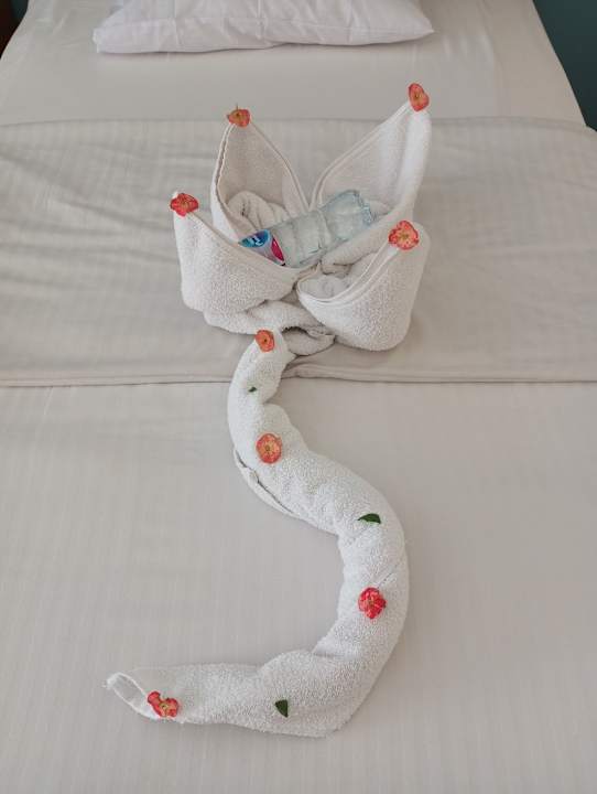 Zimmer Titanic Beach Spa & Aqua Park