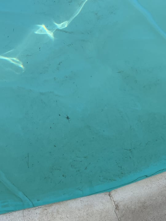 Pool Pickalbatros Alf Leila Wa Leila Resort - Neverland Hurghada