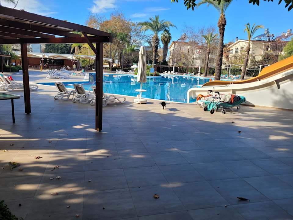 Pool Side Star Elegance