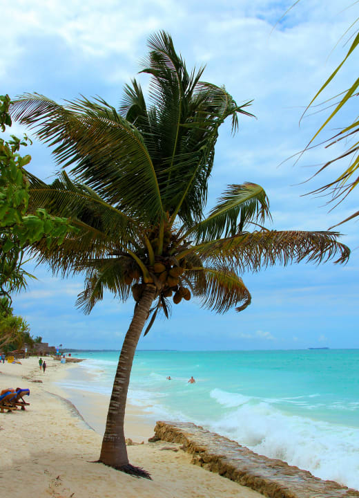 Strand Neptune Pwani Beach Resort & Spa