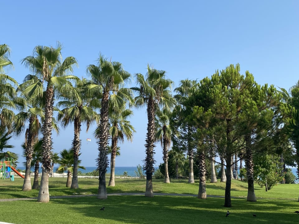 Strand Arcanus Hotels Trendline Side
