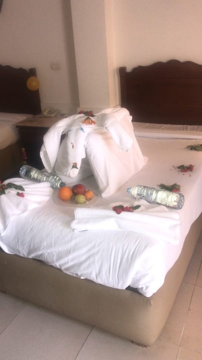 Zimmer Regina Resort and Aqua Park Hurghada