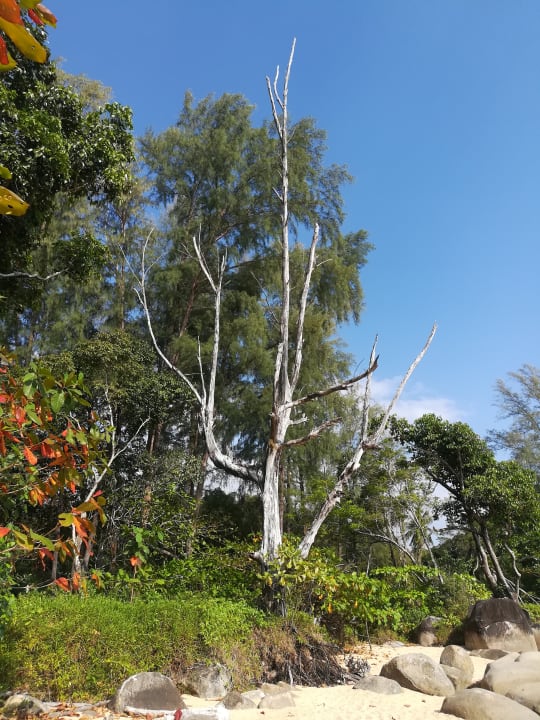 Sonstiges The Briza Beach Resort Khaolak